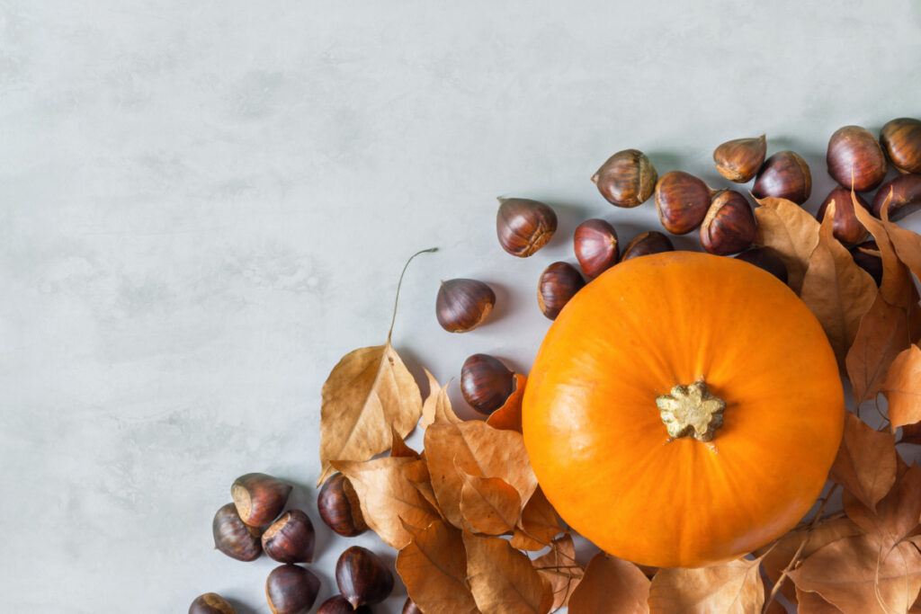 Fotografia e Food: 5 consigli per stuzzicare il palato dei clienti