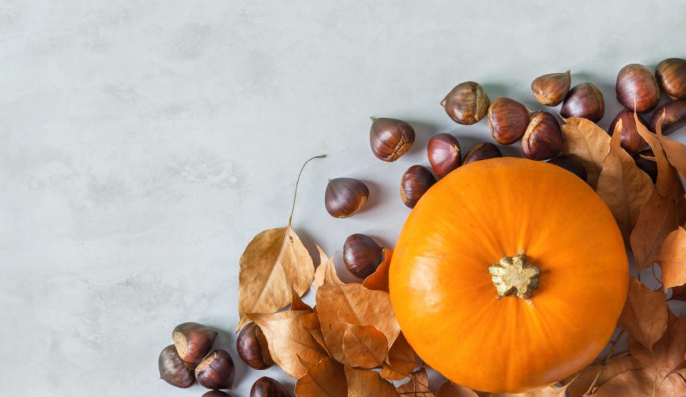 Fotografia e Food: 5 consigli per stuzzicare il palato dei clienti